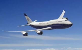 猎鹰飞行俱乐部 空中霸主与陆地霸主的对决,速来围观