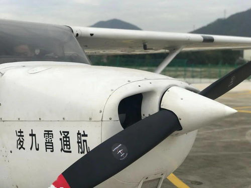 凌九霄航空集团简介