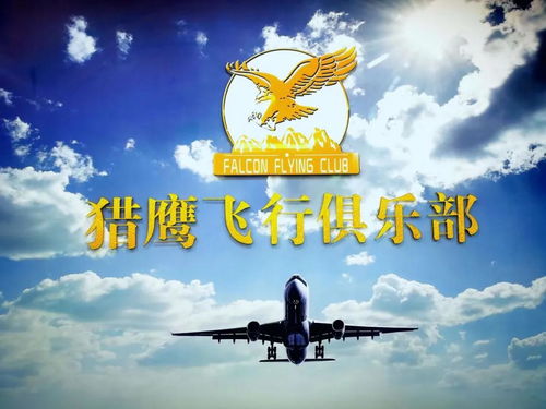 加入猎鹰飞行俱乐部 2021年开启您的私人飞行时代